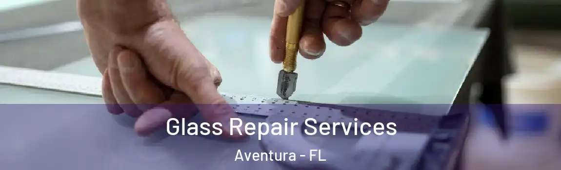 Glass Repair Services Aventura - FL